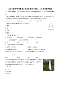 2025-2026学年安徽省合肥市巢湖市七年级（上）期末数学试卷-自定义类型
