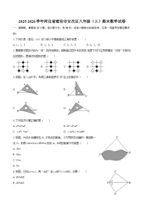 2025-2026学年河北省廊坊市安次区八年级（上）期末数学试卷-自定义类型