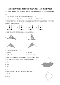 2025-2026学年河北省廊坊市安次区八年级（上）期末数学试卷-自定义类型