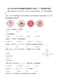 2025-2026学年山东省德州市夏津县八年级（上）期末数学试卷-自定义类型