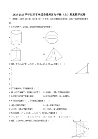 2025-2026学年江苏省南通市通州区九年级（上）期末数学试卷-自定义类型