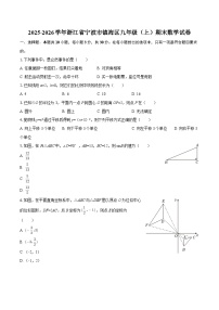 2025-2026学年浙江省宁波市镇海区九年级（上）期末数学试卷-自定义类型