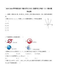 2025-2026学年湖北省十堰市丹江口市三校联考九年级（上）期末数学试卷-自定义类型