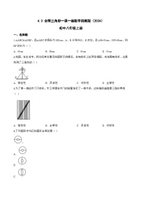 初中湘教版（2024）4.3 全等三角形达标测试