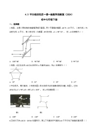 数学七年级下册（2024）平行线的性质综合训练题