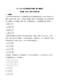 初中数学北京版（2024）七年级下册（2024）5.2 二元一次方程组和它的解习题