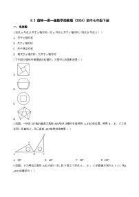 湘教版（2024）七年级下册（2024）旋转课时作业