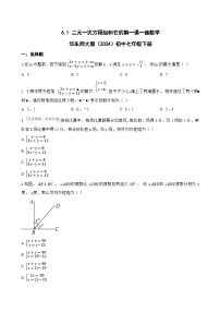 初中数学二元一次方程组和它的解课时练习