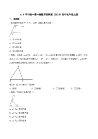 初中数学苏科版（2024）七年级上册（2024）平行线练习