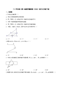 初中数学冀教版（2024）七年级下册（2024）平行线习题
