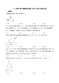 数学七年级下册（2024）7.7 证明同步达标检测题