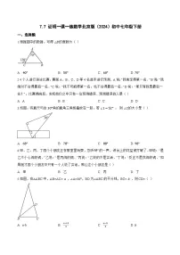 数学七年级下册（2024）7.7 证明同步达标检测题