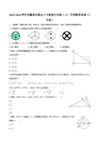 2025-2026学年安徽省合肥五十中东校九年级（上）月考数学试卷（1月份）-自定义类型