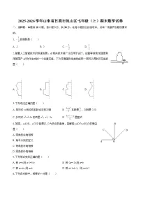 2025-2026学年山东省日照市岚山区七年级（上）期末数学试卷-自定义类型