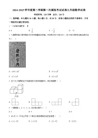 2025年广东省东莞市东莞中学九年级中考一模数学试卷（原卷版）