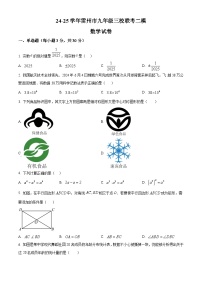 2025年广东省湛江市雷州市三校中考二模数学试题（原卷版）