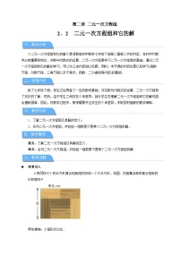 初中数学浙教版（2024）七年级下册（2024）二元一次方程组和它的解教案