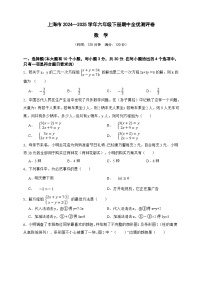 上海市2024—2025学年六年级数学下册期中全优测评卷（原卷版+解析版）-沪教版五四学制初中数学六下
