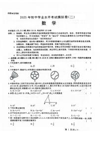 2025年广东省清远市连州中学中考模拟试二数学试卷含答案