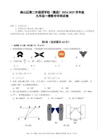 2025年深圳市南山区第二外国语学校集团中考一模数学试卷含答案
