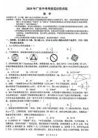 2025年广东省惠州市惠东县中考考前适应性训练中考数学试题（一模）含答案