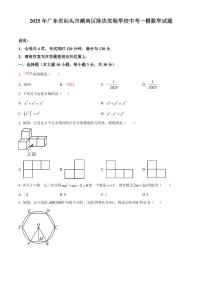 2025年广东省汕头市潮南区陈店实验学校中考一模数学试题（原卷版）