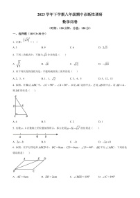 广东省广州市华侨中学2023-2024学年八年级下学期期中数学试题（含答案）