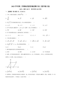 广东省广州市南武教育集团2023-2024学年八年级下学期期中数学试题（含答案）