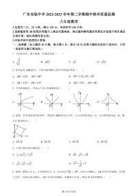 广东省广州市天河区广东实验中学2022~2023学年八年级下学期期中数学试题（含答案）