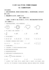 广东省广州市中山大学附属中学2023-2024学年八年级下学期期中数学试题（含答案）