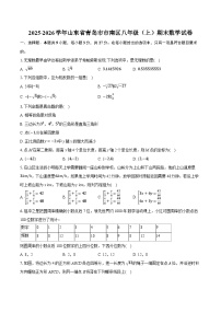 2025-2026学年山东省青岛市市南区八年级（上）期末数学试卷（含答案+解析）