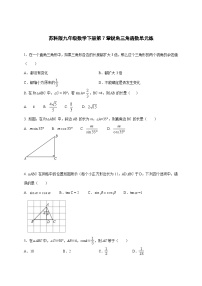 苏科版（2024）九年级下册用锐角三角函数解决问题同步测试题