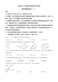 2025年广东省汕头市潮阳区西胪公校九年级中考模拟考一模数学试题（原卷版）