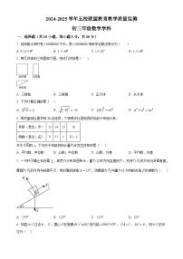 2025年广东省珠海市紫荆中学等五校联考中考一模数学试题（原卷版）