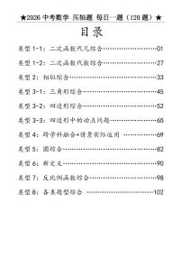 2026中考数学压轴题每日一题练习含答案（120题）