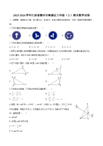 2025-2026学年江西省赣州市南康区八年级（上）期末数学试卷-自定义类型