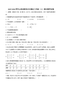 2025-2026学年山东省青岛市市南区八年级（上）期末数学试卷-自定义类型