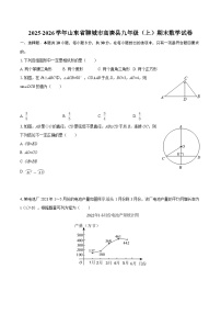 2025-2026学年山东省聊城市高唐县九年级（上）期末数学试卷-自定义类型