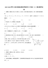 2025-2026学年上海市青浦区教育学院附中八年级（上）期末数学试卷-自定义类型