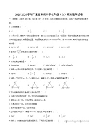 2025-2026学年广东省东莞中学七年级（上）期末数学试卷-自定义类型