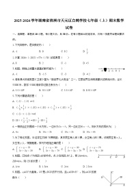 2025-2026学年湖南省株洲市天元区白鹤学校七年级（上）期末数学试卷-自定义类型