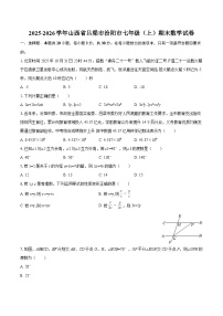 2025-2026学年山西省吕梁市汾阳市七年级（上）期末数学试卷-自定义类型