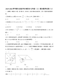 2025-2026学年浙江省金华市东阳市七年级（上）期末数学试卷（1）-自定义类型