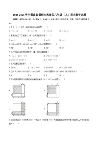 2025-2026学年福建省福州市闽清县八年级（上）期末数学试卷-自定义类型