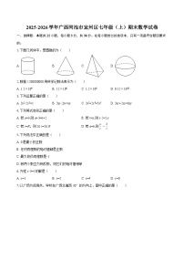 2025-2026学年广西河池市宜州区七年级（上）期末数学试卷-自定义类型