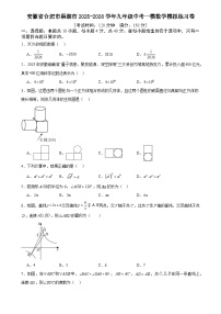 2026年安徽省合肥市巢湖市中考模拟数学自编卷含答案