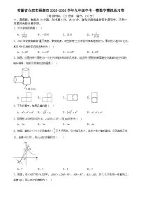 2026年安徽省合肥市巢湖市中考模拟数学自编卷含答案