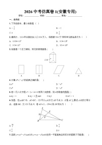 2026年中考模拟数学自编卷含答案(安徽专用)