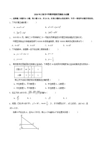 2026年上海市中考模拟数学自编卷含答案