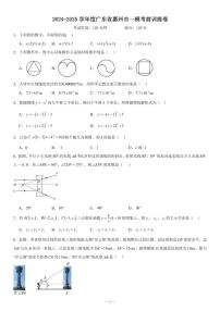 2025年度广东省惠州市中考数学一模试卷含答案